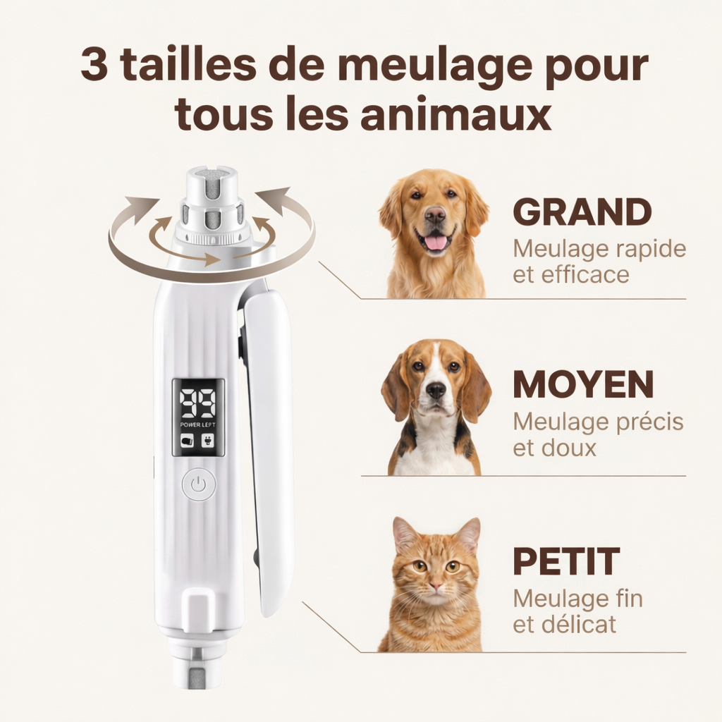 Coupe griffes LED lame inox meuleuse 3 tailles chien chat