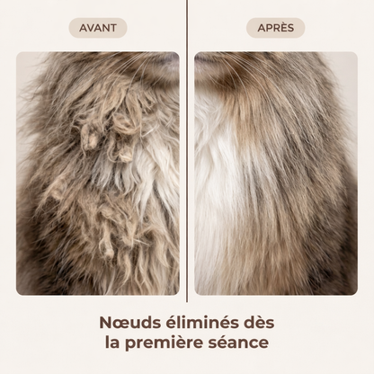 Pelage chat avant après peigne démêlant - nœuds éliminés en douceur