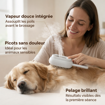 Brossage chien avec brosse vapeur - pelage brillant et sans nœuds