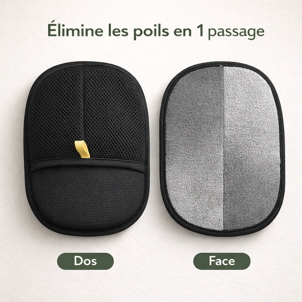 Gant Anti-Poils Chien Chat – Enlève les Poils Canapé Vêtements Tapis