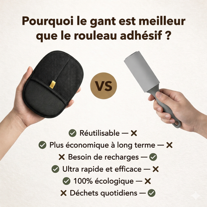 Gant Anti-Poils Chien Chat – Enlève les Poils Canapé Vêtements Tapis