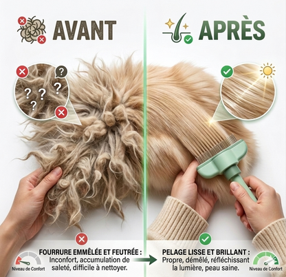 Peigne Toilettage Animaux