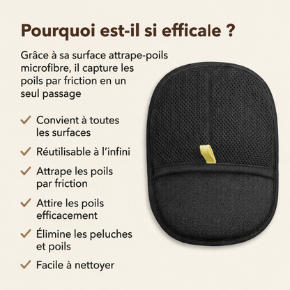 Gant Anti-Poils Chien Chat – Enlève les Poils Canapé Vêtements Tapis